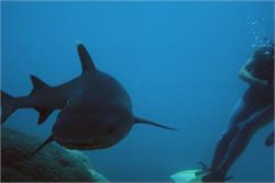 01533_Great Barrier Reef